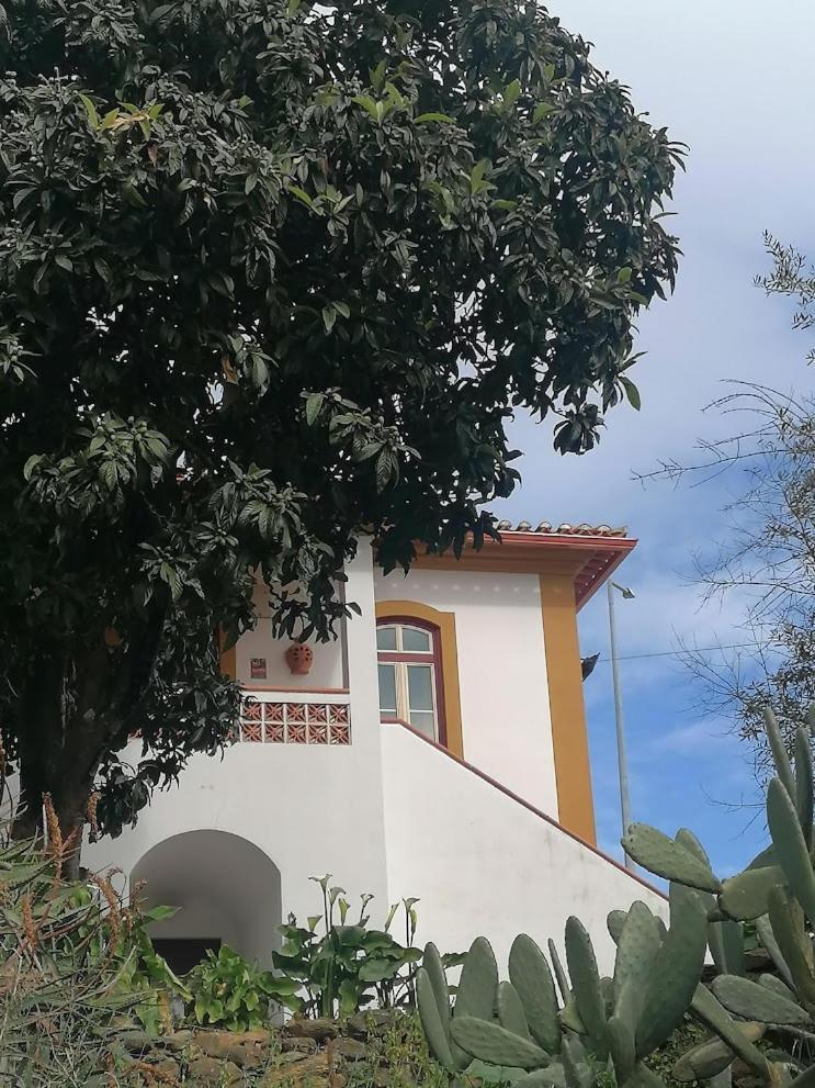 Quinta Do Americano Sardoal Buitenkant foto
